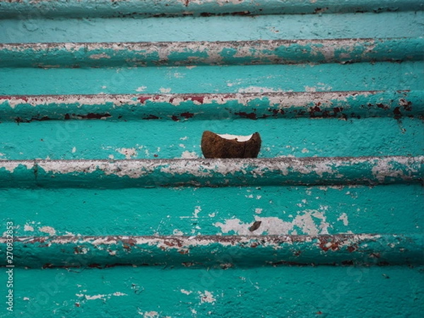 Fototapeta Palm Tree Coconut