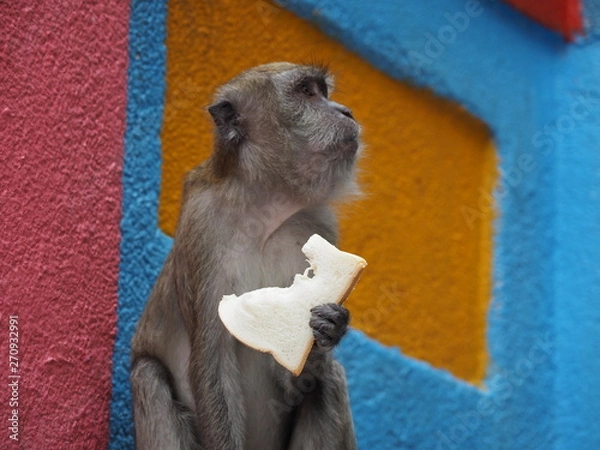 Fototapeta Human Money with Bread