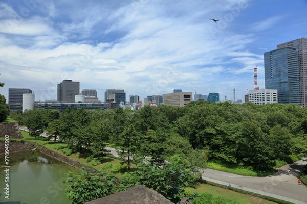 Fototapeta 皇居東御苑の二の丸庭園と都心のビル群