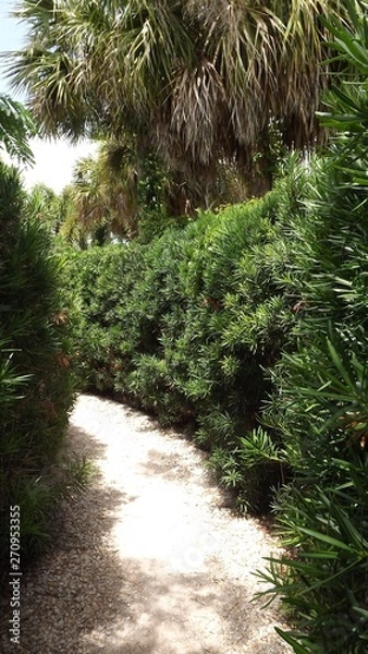 Fototapeta Hedge Maze Path 2