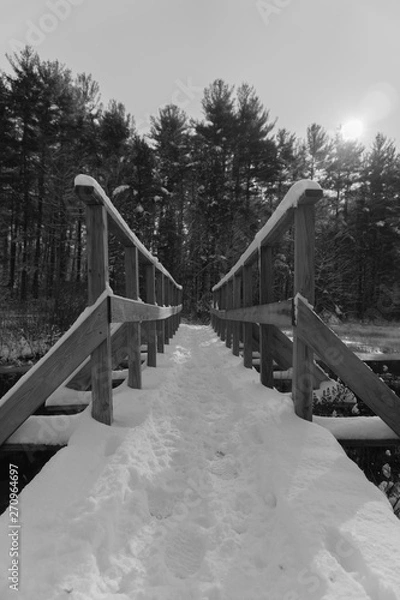 Obraz bridge in winter
