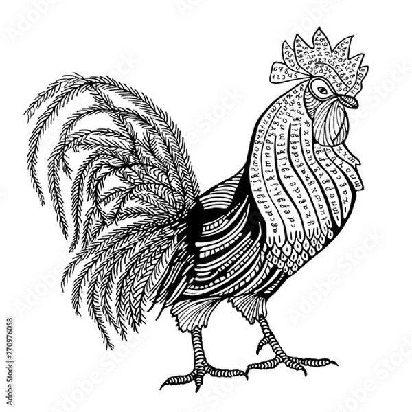 Fototapeta Rooster hand drawn with letters and numers