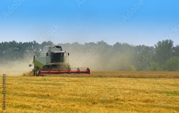 Fototapeta Big  combine