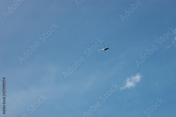 Obraz seagull flying in blue sky
