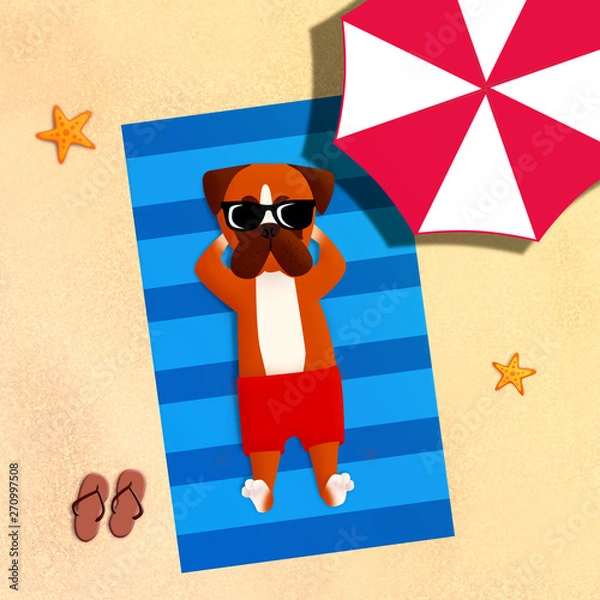 Fototapeta Beached Boxer