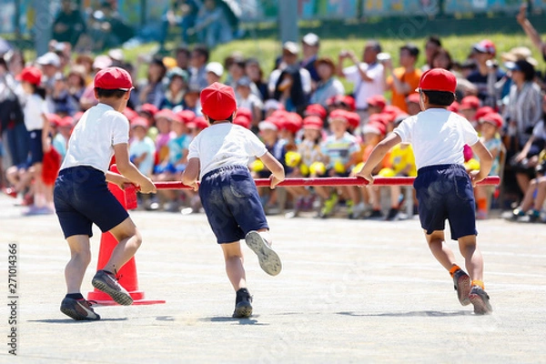 Fototapeta 運動会の競技、チームワーク