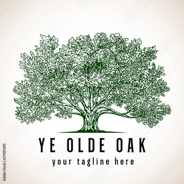 Obraz Tree Logo