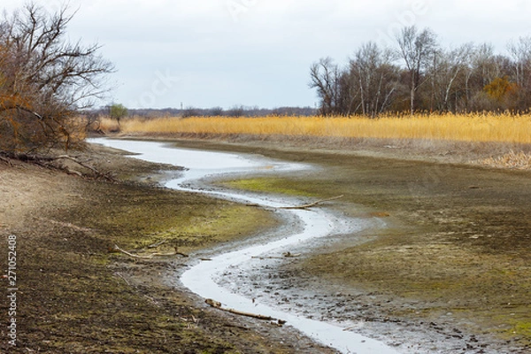 Fototapeta The dry river bed with small remains of water with leafless forest on the shore