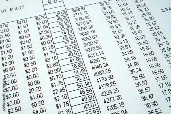 Fototapeta looking at the accounts on a printed spreadsheet.