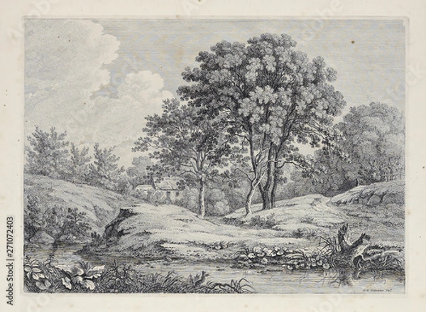 Obraz Trees