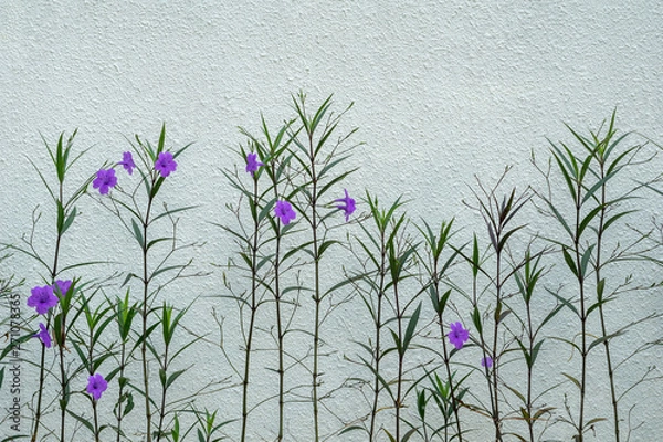 Obraz Flower with wall background