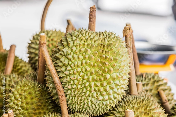 Obraz Fresh durian fruit from the durian garden for sale in the local market thailand tropical fruit