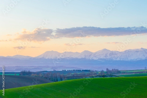 Obraz 北海道　早朝の大地と山