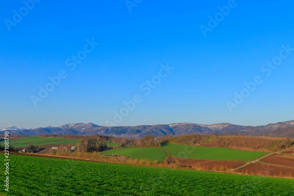 Fototapeta 日本　北海道　大地と青空