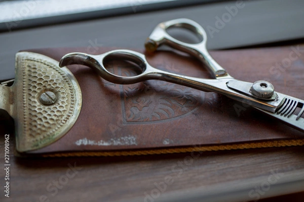 Obraz すきはさみ