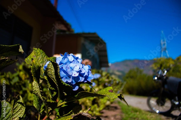 Obraz Dominican Republic