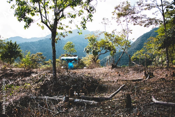 Obraz Dominican Republic