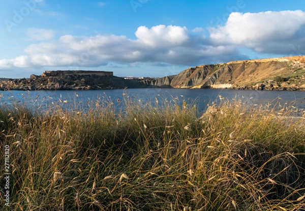 Obraz Beautiful and tranquil nature