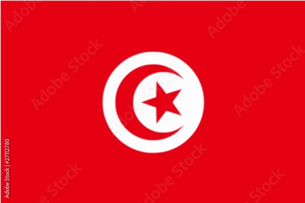 Obraz Drapeau de la Tunisie