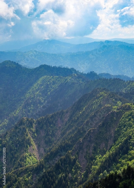 Obraz Smoky Mountains