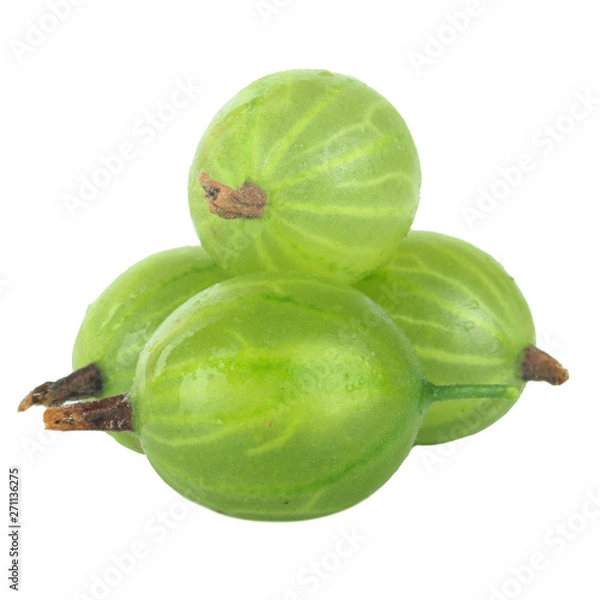 Fototapeta heap of green gooseberries isolated on white background