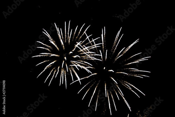 Obraz Celebration fireworks