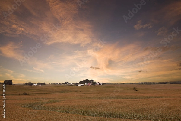 Obraz Iowa Corn Field.