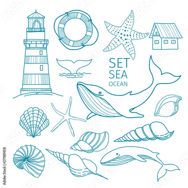 Fototapeta Set of marine objects - Shells, whale tail, Starfish, lifeline, whale, house, lighthouse. Hand-drawn illustration, sketch.
