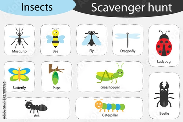 Obraz Scavenger hunt, insects theme, different colorful pictures for children, fun education search game for kids, development for toddlers, preschool activity, set of icons, vector illustration