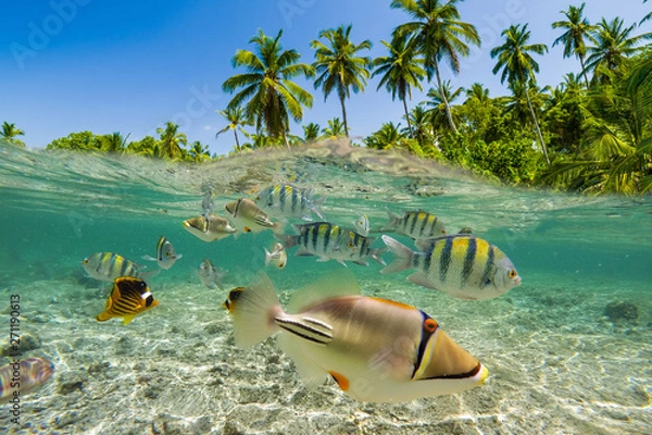 Obraz Underwater Scene With Reef And Tropical Fish