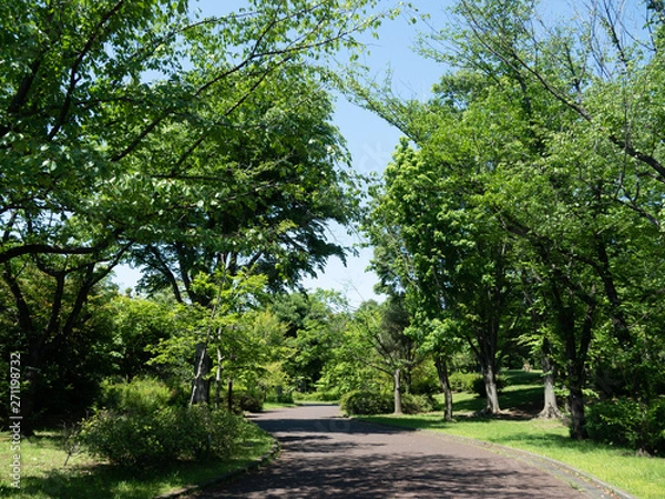 Obraz 公園