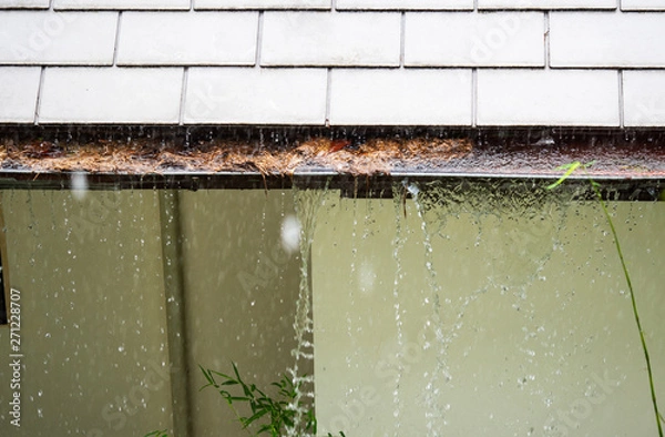 Fototapeta Close up on section of rain gutter clogged with leaves, debris on residential home during the rain