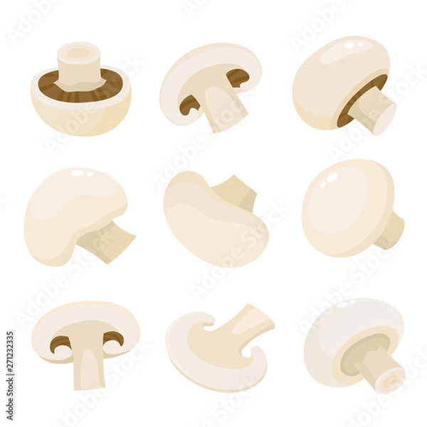 Obraz Cartoon vector icon illustration of mushroom champignon isolated on white