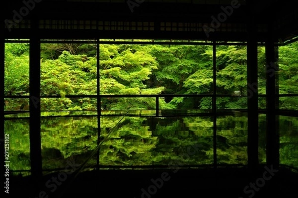 Obraz 瑠璃光院　反射する新緑