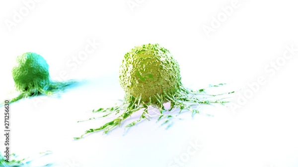 Fototapeta 3d rendered illustration of a cancer cell