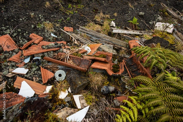 Obraz Construction waste in rural forest