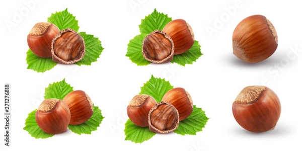 Fototapeta Hazelnuts with leaves isolated on white background. Collection. Set. 