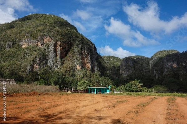 Fototapeta View of Cuban landscape in Vinales Valley National Park with tobacco farms, fields, plantations, hills, cows, beautiful Cuban nature and tropical vegetation. Vinales valley, Cuba