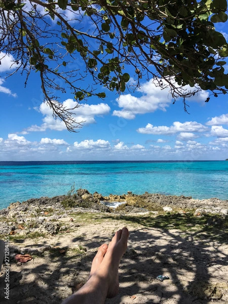 Fototapeta White tourist relaxing under a tree on the coast of Bay of Pigs with it`s clear, blue water near Playa Giron, Cuba