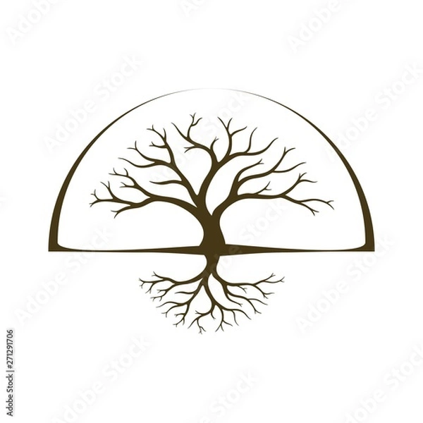 Fototapeta simple oak tree vector logo