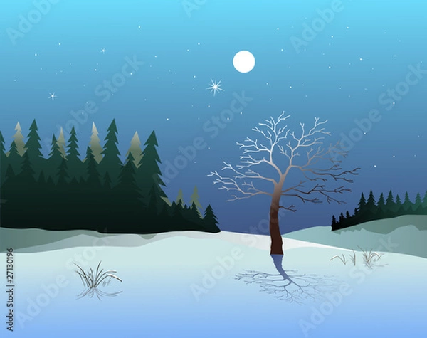 Fototapeta Winter landscape