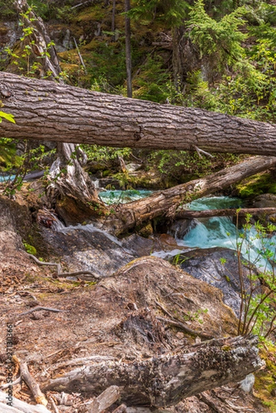 Fototapeta Majestic waterfall in Vancouver, Canada. View with mountain background.