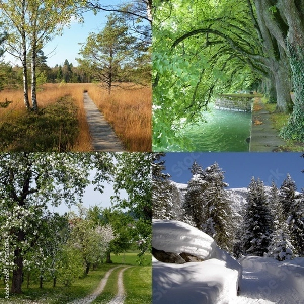 Obraz Walk through the Seasons