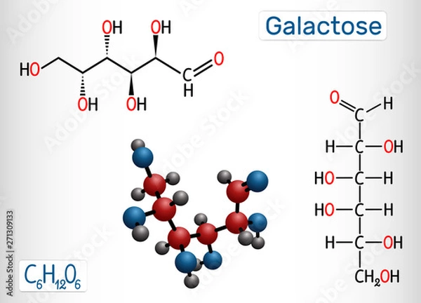 Fototapeta Galactose, D-galactose, milk sugar molecule. Linear form. Structural chemical formula and molecule model