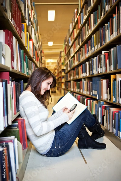 Obraz Mixed race ollege student