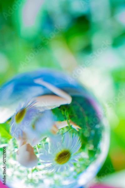 Obraz 感情と感覚