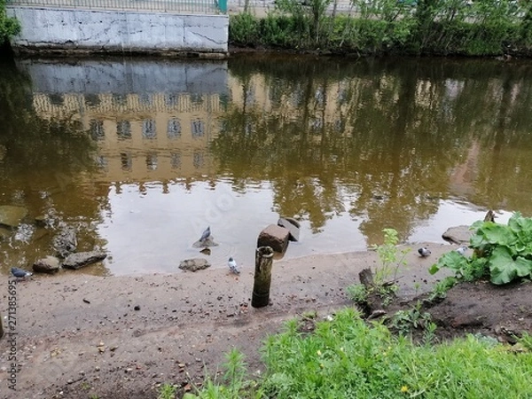 Fototapeta reflection of houses and trees on the river in St. Petersburg 