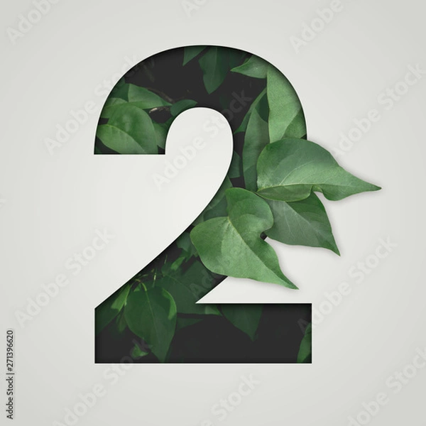 Fototapeta Nature concept. Creative number with green leaves on a gray background. Creative typography, Chapter in the presentation, template. 2 number two.