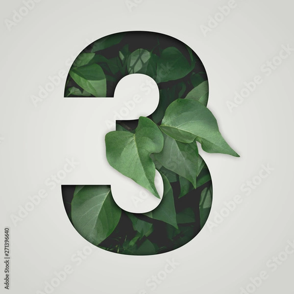 Fototapeta Nature concept. Creative number with green leaves on a gray background. Creative typography, Chapter in the presentation, template. 3 number three.