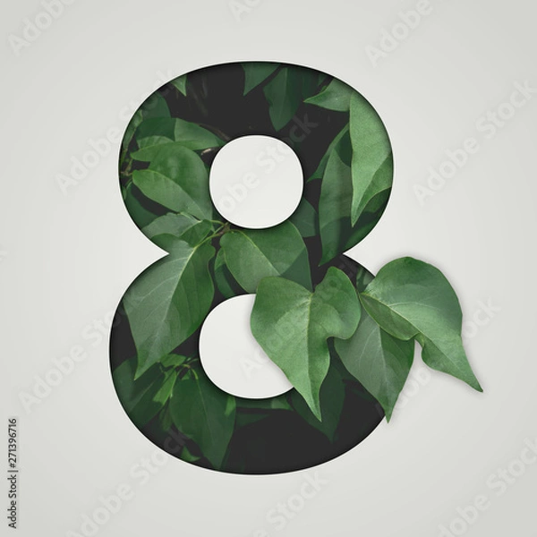 Fototapeta Nature concept. Creative number with green leaves on a gray background. Creative typography, Chapter in the presentation, template. 8 number eight.